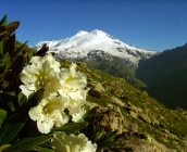 prielbruse2.jpg