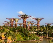 singapur3.jpg